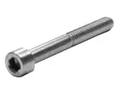 FLANGE SCREW