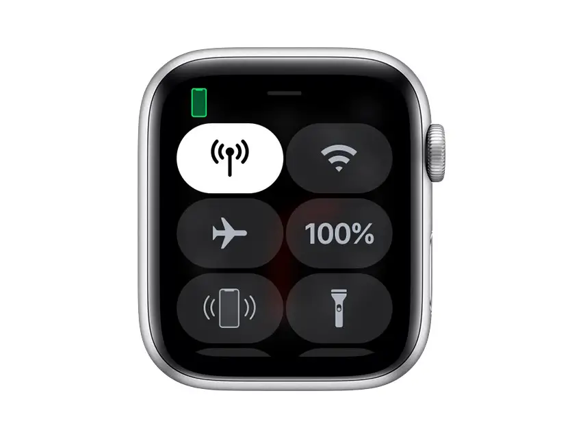 Use Control Center On Apple Watch