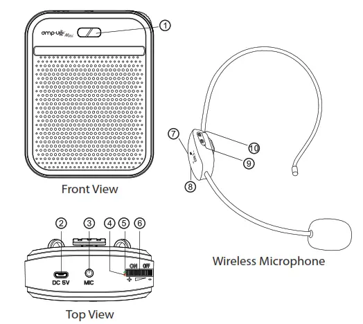 Hamilton Buhl PA 25E amp up Mini - Button
