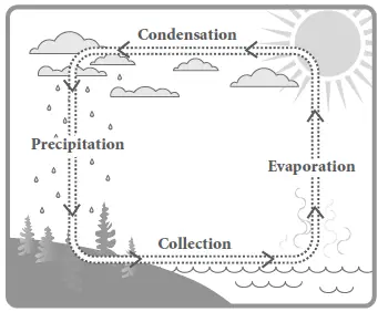 anko-P-43149216-Weather-Science-Cloud-and-Rain-Maker-fig-2