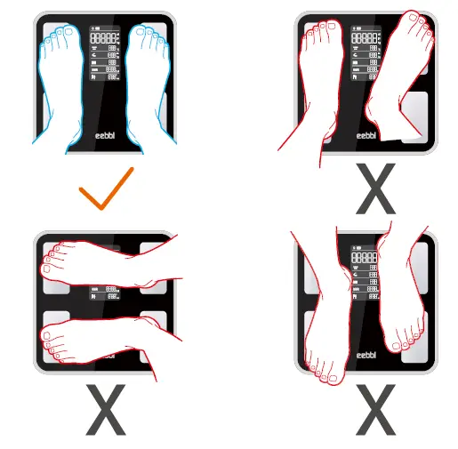 eebbl-FG2019LB VA Body-Composition Scale-01
