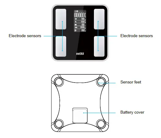 eebbl-FG2019LB VA Body-Composition Scale-02