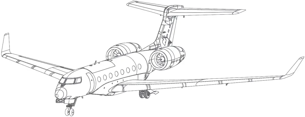 AMEWi AM650 Business-Jet 1766mm PNP