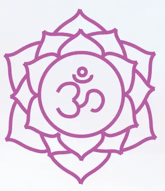 My-Little-Magic-Shop-CLEAR-AF-Crystal-Cleansing-and-Charging-Kit-FIG-8