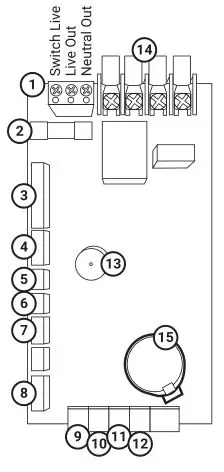Strom Electric System Boilers - BOILER CONNECTIONS
