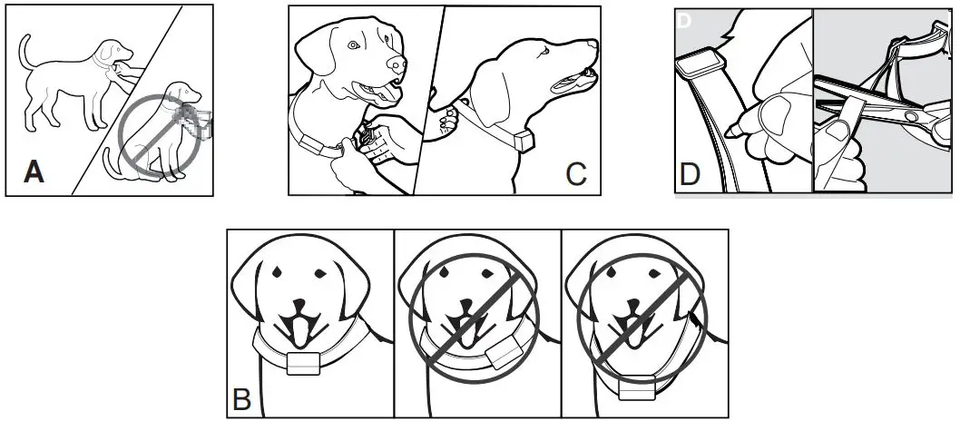 Patpet-B800C-Smart-Bark-Control-Collar-fig 20