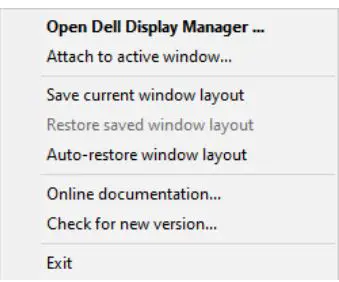 DELL P3222QE 32 Inch 4K USB-C Hub Monitor User Guide - You may also check for new version by right clicking on DDM icon