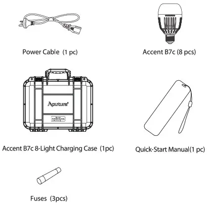 Aputure Accent B7c 8-Light Kit - Components List