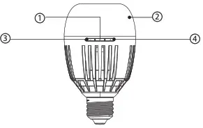 Aputure Accent B7c 8-Light Kit - Product Details