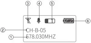 inFace ZH-01D IPL Hair Removal-- inFace ZH-01ppppD I