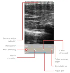 importvet 24 300 Sonda Tecnoscan BL - Main menu
