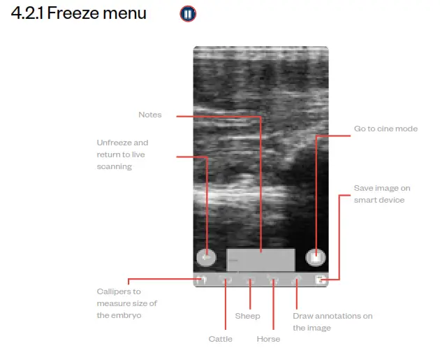 importvet 24 300 Sonda Tecnoscan BL - fig1