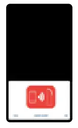 importvet 24 300 Sonda Tecnoscan BL - up process