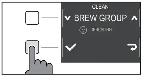 GAGGIA RI8700 Magenta Plus - GROUP CLEANING