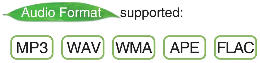 WinBridge H5 Portable PA System - Supported