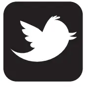 Twitter Icon