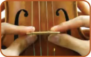 Violin Bridge Replacement - Step 5a
