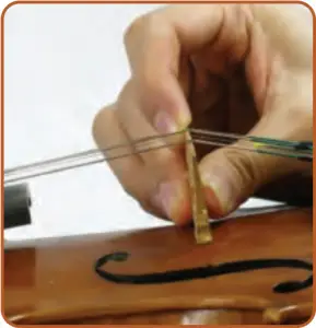 Violin Bridge Replacement - Step 7a