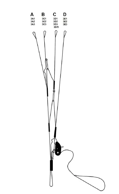 NIVIUK-BI-SKIN-2P-Double-Delight-Parachute-fig2