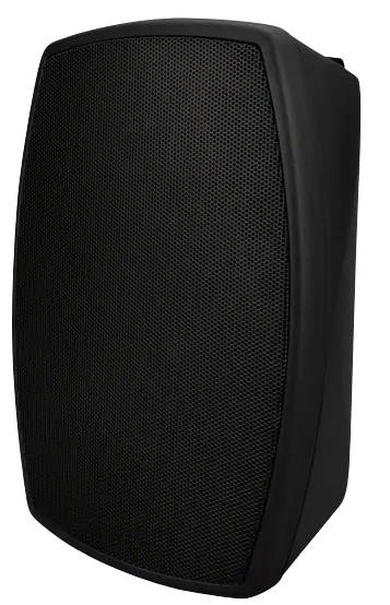 BEALE STREET AUDIO W5VB-BSC 5.25 Inch On-Wall Indoor Outdoor Speaker