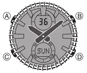 CASIO watch 5606 - Illumination