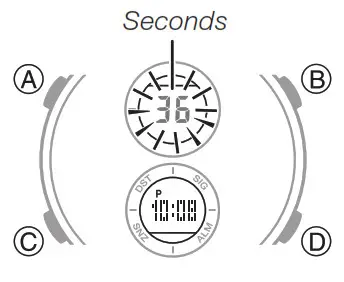 CASIO watch 5606 - Timekeeping 5