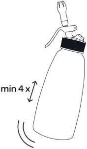 Kisag Whipper Classic - INTERIM CLEANING 4