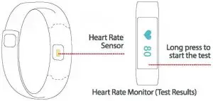 Heart Rate interface