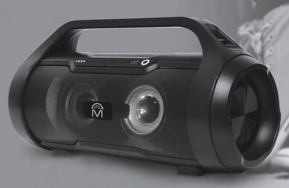 Axe 53371 Outdoor Indoor Tws Wireless Speaker User Manual Axe 53371 Outdoor Indoor Tws Wireless Speaker User Manual