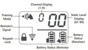 dogcareglobal DOG Training Collar