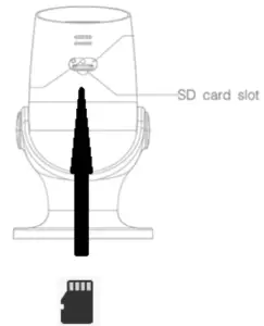 Insert the Micro SD card