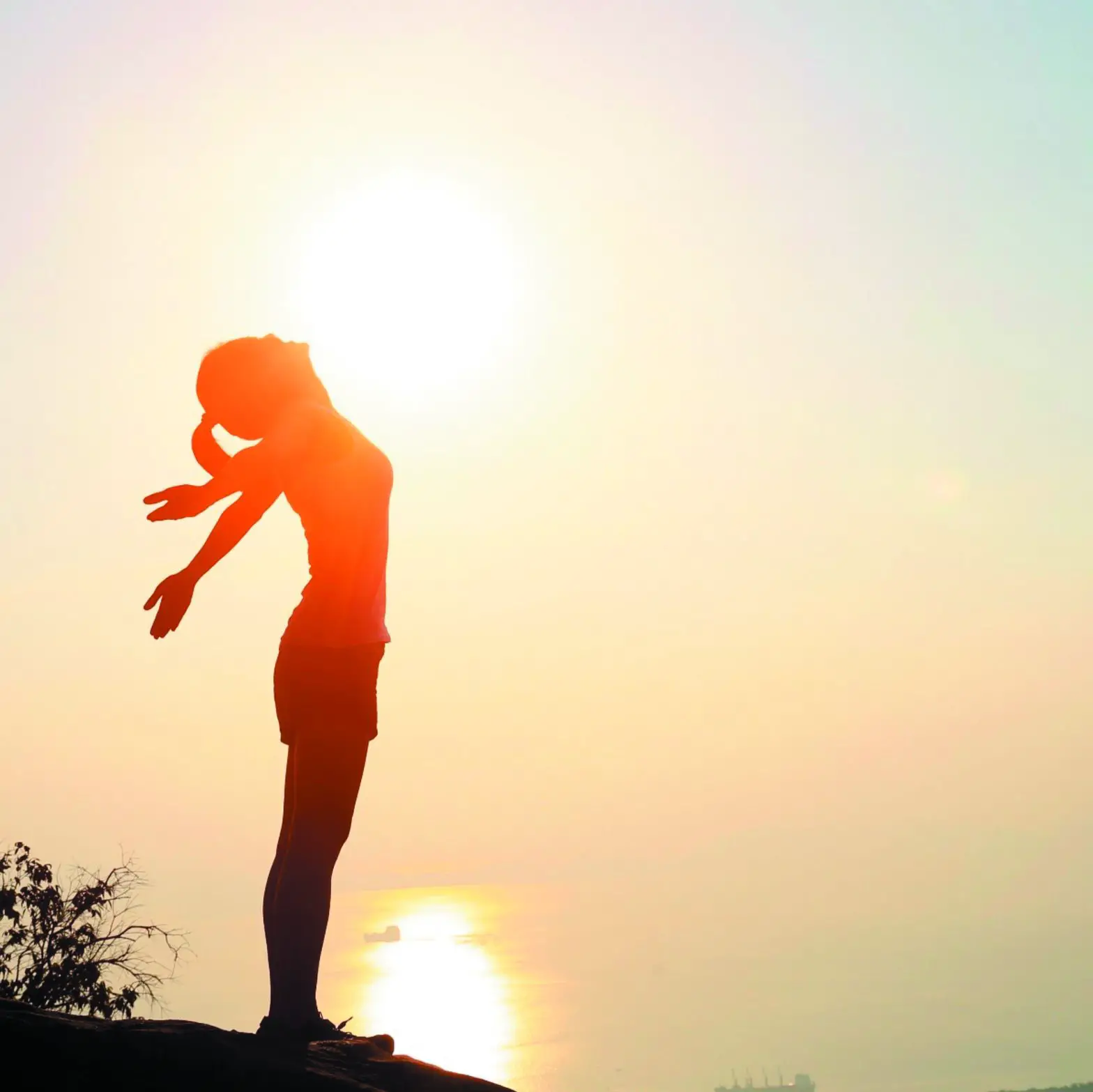 Goldair 1000W Platinum Smart Wi Fi Inverter Panel- 2