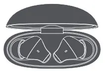 DIZO Buds Z TWS Earbuds