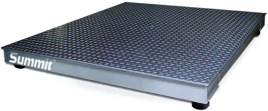 RICE LAKE Summit 3000 Low-Profile Floor Scale-Product