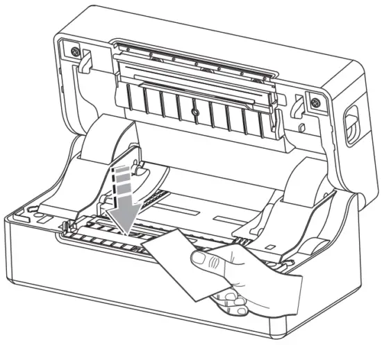 Cleaning the Printer