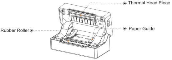 Appearance and Components