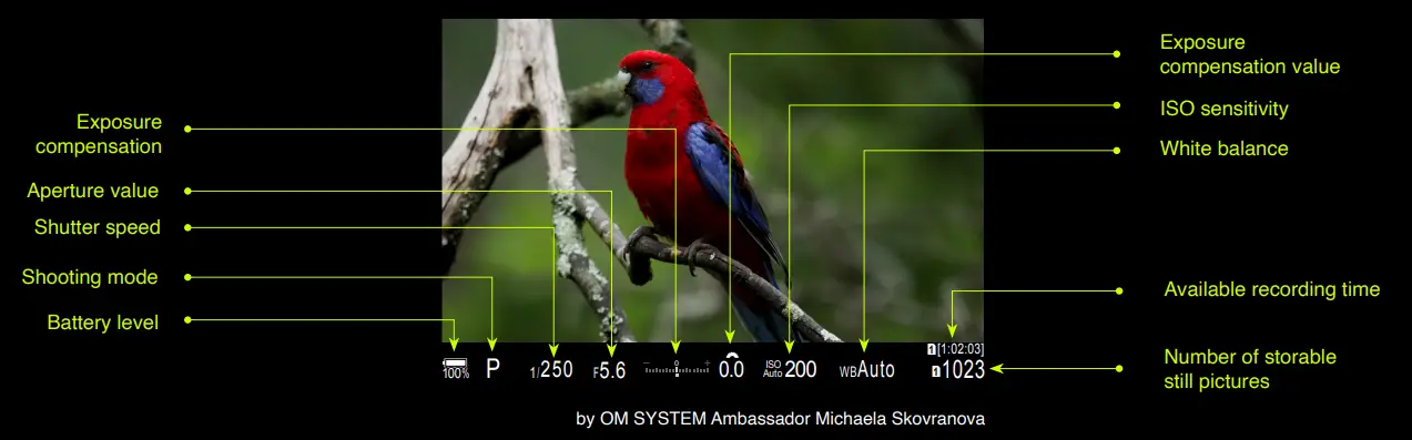 OM-SYSTEM-OM-1-Post-Olympus-Flagship-Camera-fig-10