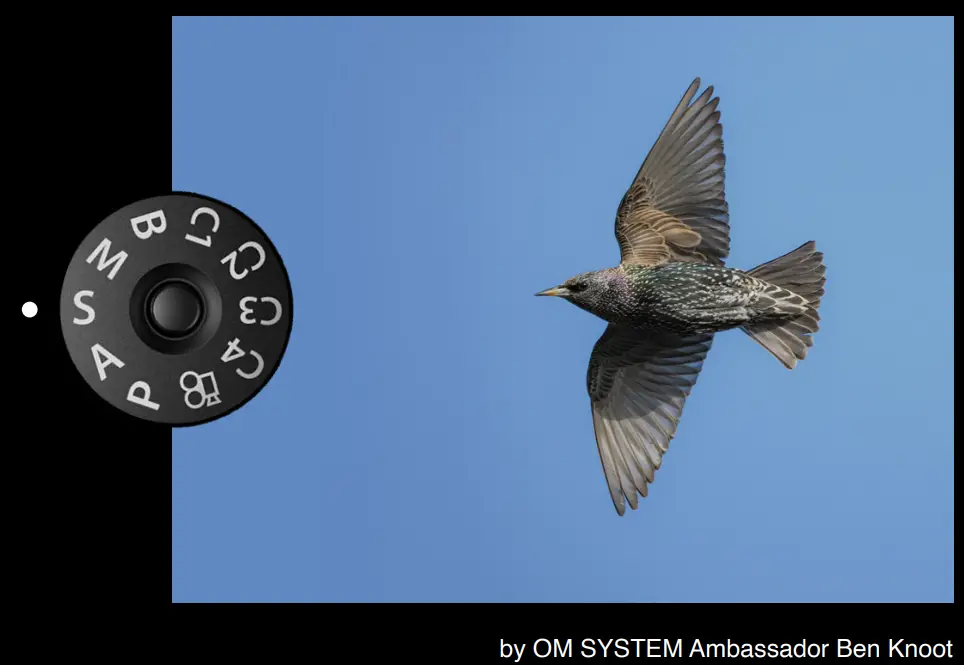 OM-SYSTEM-OM-1-Post-Olympus-Flagship-Camera-fig-13