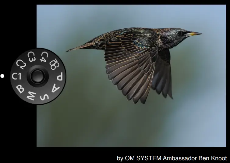OM-SYSTEM-OM-1-Post-Olympus-Flagship-Camera-fig-16