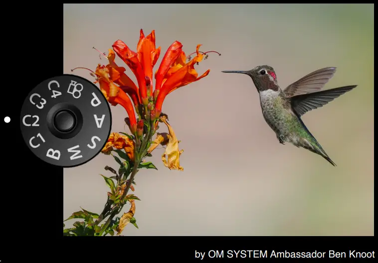 OM-SYSTEM-OM-1-Post-Olympus-Flagship-Camera-fig-17