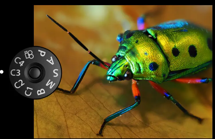 OM-SYSTEM-OM-1-Post-Olympus-Flagship-Camera-fig-18