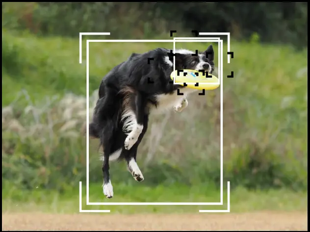 OM-SYSTEM-OM-1-Post-Olympus-Flagship-Camera-fig-22