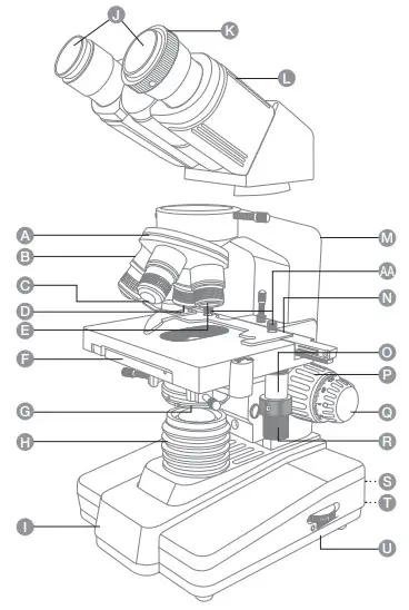 amazonbasics Siedentopf Binocular Compound Microscope 2 -