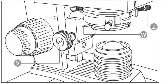 amazonbasics Siedentopf Binocular Compound Microscope -3