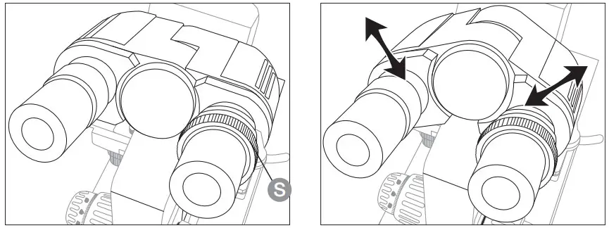amazonbasics Siedentopf Binocular Compound Microscope -condenser diaphragm