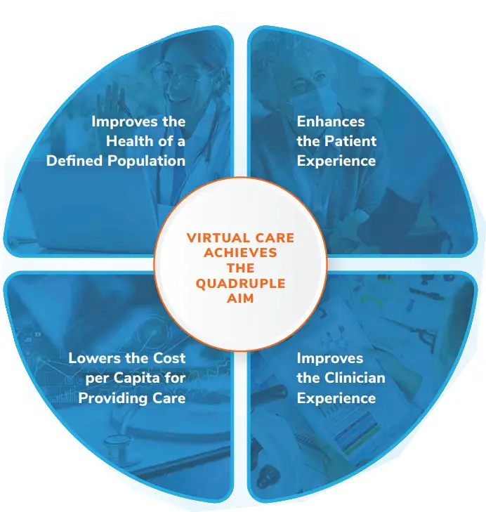 FROST SULLIVAN MAINTAINING SUSTAINABLE - Virtual Care