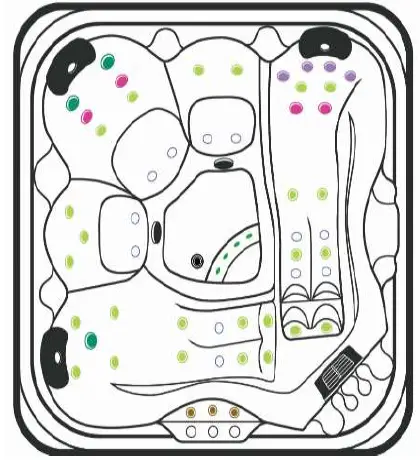 Jaquar-CARE-Breva-SPA-2