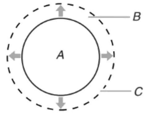MAYTAG W11435590A Freestanding Electric Range fig 2