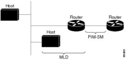 IPv6 Multicast Routing Protocols