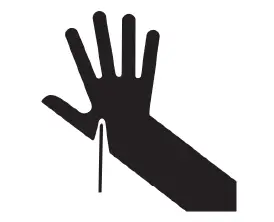 Amana-ASI2575GRS-36-inch-Side-by-Side-Refrigerator-FIG- (2)